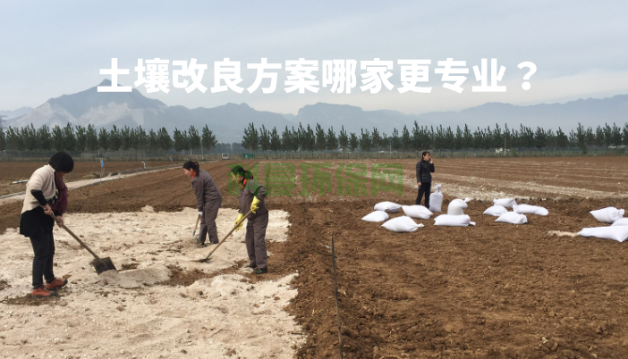 土壤改良方案哪家更專(zhuān)業(yè)？怎么比較？