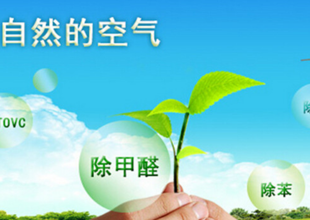 除了空氣凈化器，還有哪些方法可以有效去除甲醛？